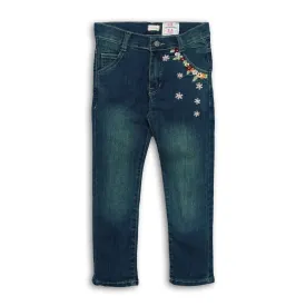 Girls Embroidery Skin Fit Jeans