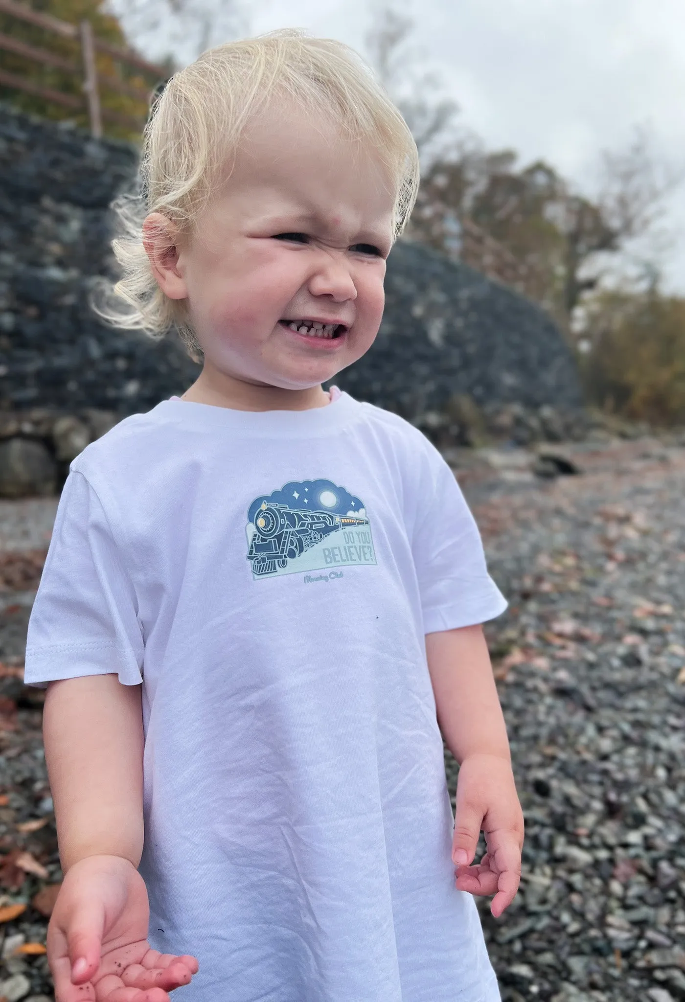 Polar Train Organic Cotton Childrens T-Shirt